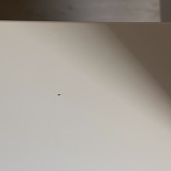 Çocuk Ranzasında Teşhir Ürün Şoku