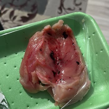 Yemeksepeti'nden Gelen Kanlı Tavuk Şoku