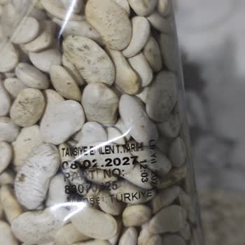 Bayat Ve Böceklenmiş Fasulye Şoku