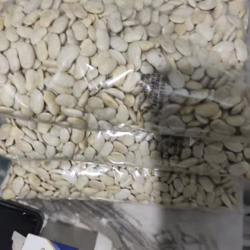 Bayat Ve Böceklenmiş Fasulye Şoku