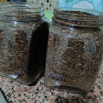 Kasiyerin Tavsiyesiyle Aldığım Çay Hayal Kırıklığına Uğrattı