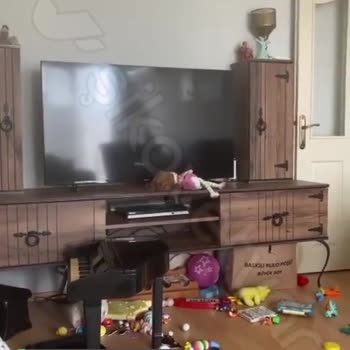 Vestel TV Pişmanlığı!