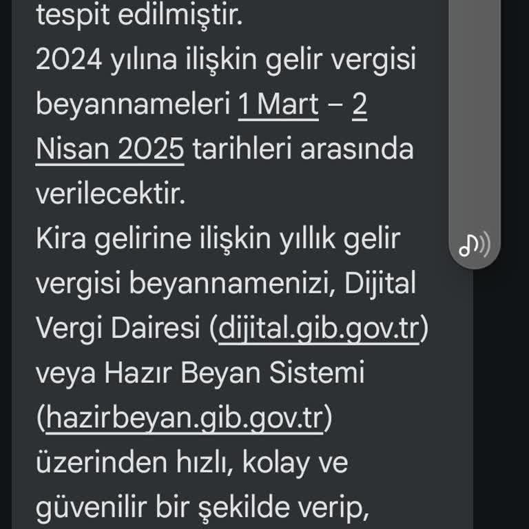 Vergi Denetiminde Anlamsız Israr