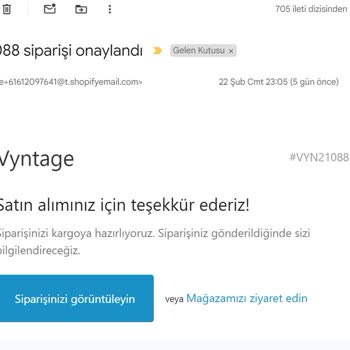 Vyntage "Bu Siteye Ulaşılamıyor" Uyarısı Aldım