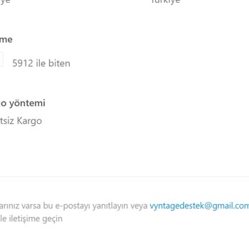 Vyntage "Bu Siteye Ulaşılamıyor" Uyarısı Aldım