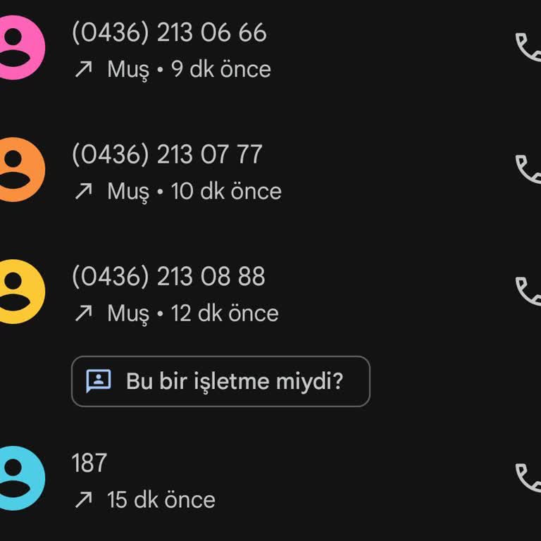 Doğugaz Kış Ortasında Gaz Kesintisi: Muş'ta Abone Mağduriyeti