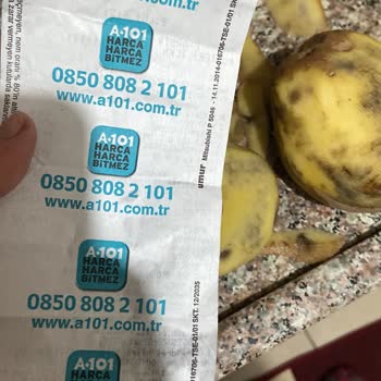 Zincir Marketten Aldığım Çürük Patatesler
