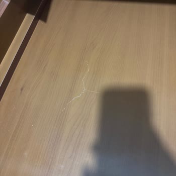 Çekyat Kurulumunda Sorun Ve İlgisizlik