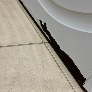 Çamaşır Makinesi Hayal Kırıklığı: Profilo Markasıyla Yaşanan Sorunlar