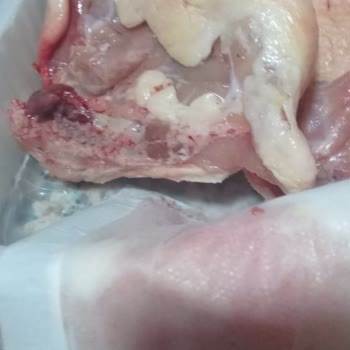 Migros Bozuk Tavuklarla Sağlığımızı Tehlikeye Atıyorsunuz!