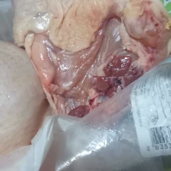 Migros Bozuk Tavuklarla Sağlığımızı Tehlikeye Atıyorsunuz!