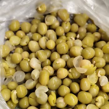 Aşırı Pişmiş Sebzeler: Salata Deneyimimi Mahvetti