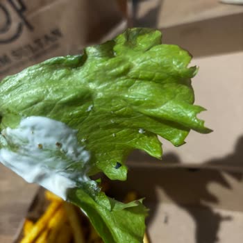 Hayal Kırıklığı Yaratan Yesen Burger Siparişi