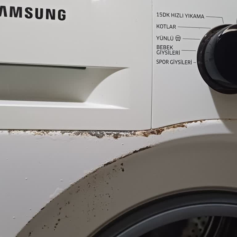 Samsung Çamaşır Makinesi Paslanma Sorunu Ve Yetersiz Servis Hizmeti