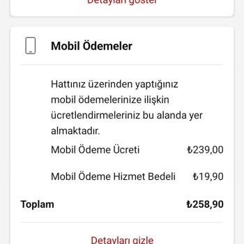 İzinsiz İndirilen Uygulama Nedeniyle Yüksek Fatura Sorunu