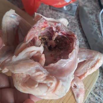 BİM Tazem Tazem Piliç İçinden Çıkanlar