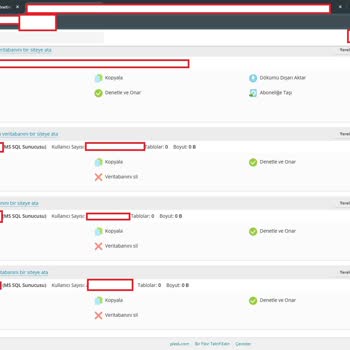 Veritabanı Erişimi Ve Kayıp Verilerle İlgili Acil Yardım Talebi