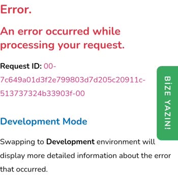Başvuru Kesinleştirme Sorunu Ve Sistem Hataları