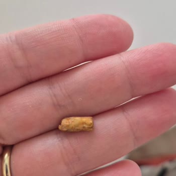 Tatlı Ürününde Beklenmedik Yabancı Madde Bulundu