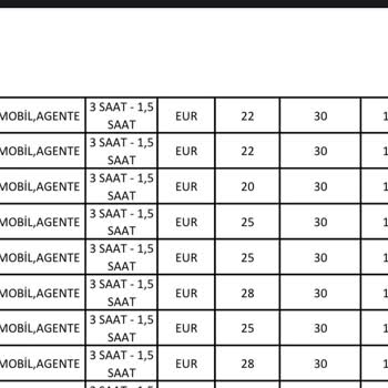 Ek Bagaj Ücretinde Şok: 15 Euro Yerine 132 Pound Ödendi!