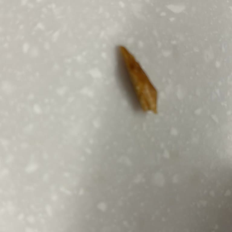 Fındıklı Krokandan Yabancı Madde Çıkması Ve Eksik Ürün Sorunu