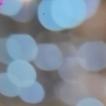 Dijitsu TV'de Ölü Pikseller Ve İlgisiz Müşteri Hizmetleri