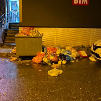 Ümraniye'de Çöp Konteyneri Sorunu
