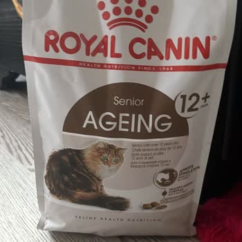 Royal Canin 12 Plus Katzenfutter auf Empfehlung vom Verkäufer gekauft, Katze verweigert, Rückgabe gewünscht