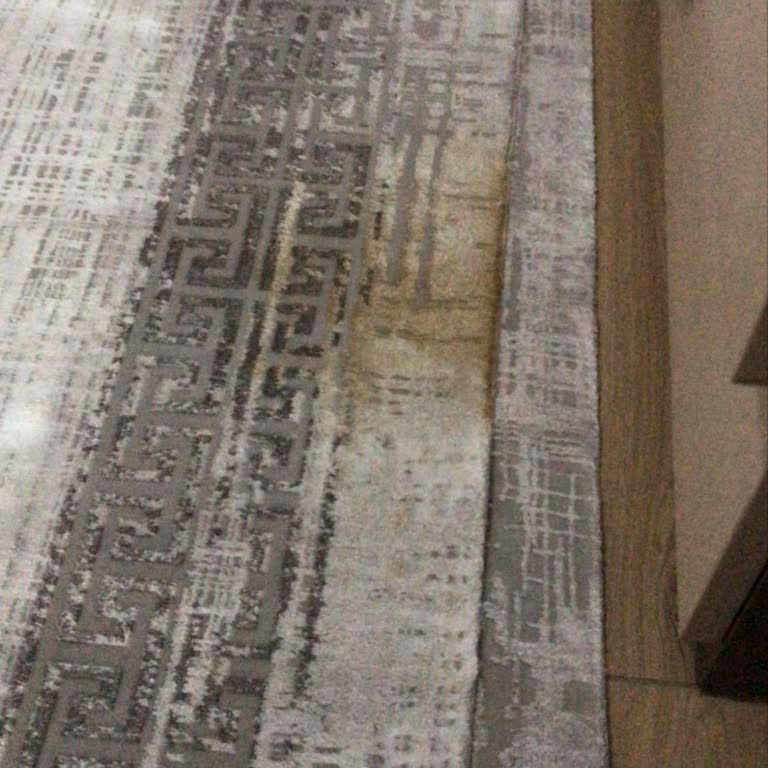 Gümüşsuyu Halıdaki Çay Lekesi Çıkmıyor, Çözüm Bekliyorum