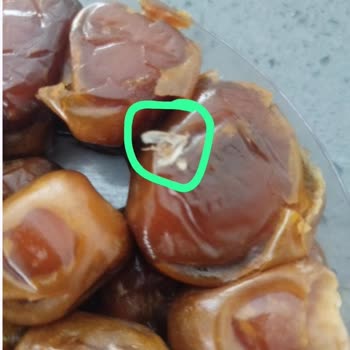 Şok Marketten Aldığım Böcekli Hurma Şoku