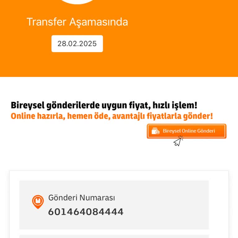 Trendyol Siparişinde MNG Kargo Engeli: Ulaşılmaz Teslimat Noktası