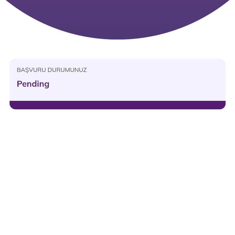 Pi Network KYC Doğrulama Sürecinde Yaşanan Aksaklıklar
