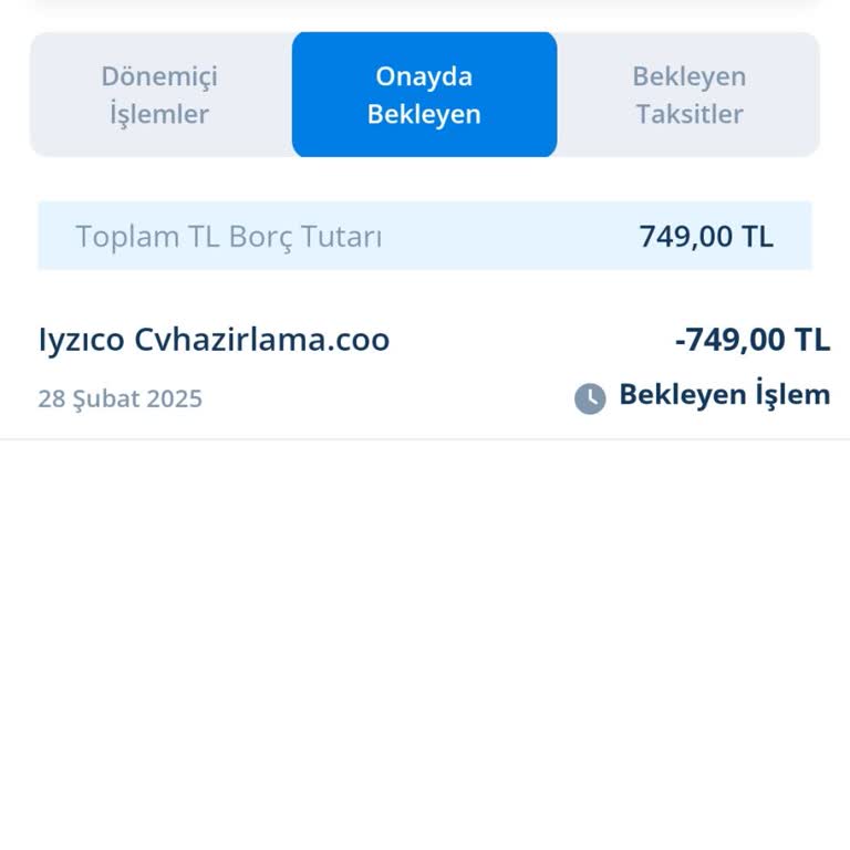 İzinsiz Para Çekimi Ve Acil Çözüm Talebi