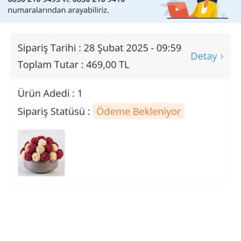 Ödeme Sorunu Ve Teslimat Eksikliği