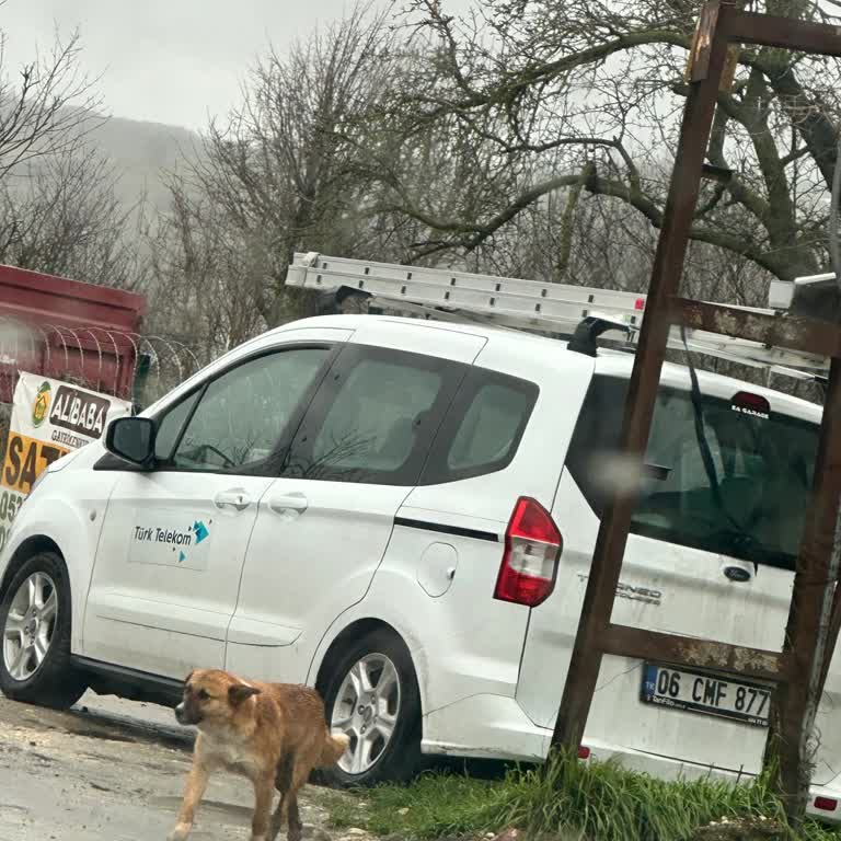 İnternet Bağlantısı İçin Bekleyişin Sonu Gelmiyor