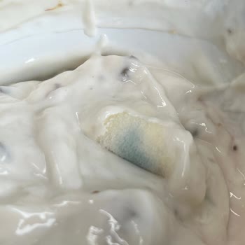 Quark Yoğurtta Küf Şoku: Sağlık Riski