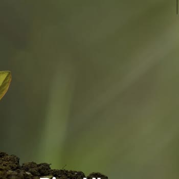 Ödeme Yaptım, Hizmet Alamadım: Google Haritalar Üzerinde Görünmeyen Dükkanım