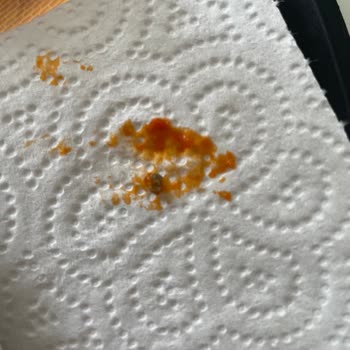 Taş Çıkan Lutenitsa Sosu: Güven Sarsan Alışveriş Deneyimi