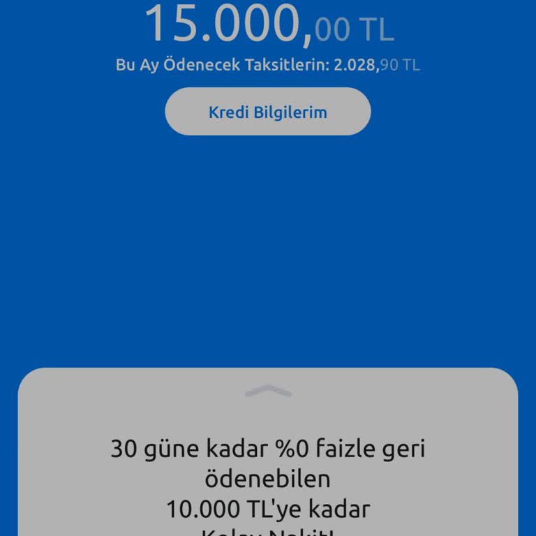 Ticari Kredi Başvurusu Sorunu Ve İlgisizlik