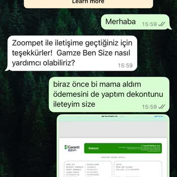 Kedi Maması Siparişimde Yaşadığım Hayal Kırıklığı