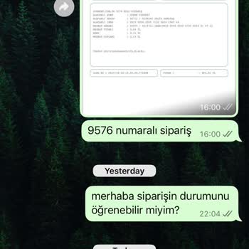 Kedi Maması Siparişimde Yaşadığım Hayal Kırıklığı