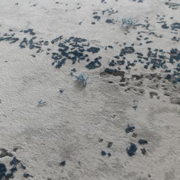 Atlantik Halı'da Hayal Kırıklığı: Viskon Halının Bitmeyen Sorunları