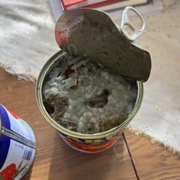 Küflü Konserve Alarmı