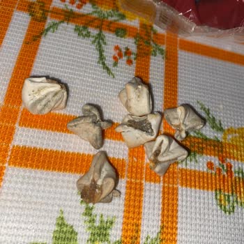 Tarihi Geçmemiş Ürünlerde Küf Sorunu