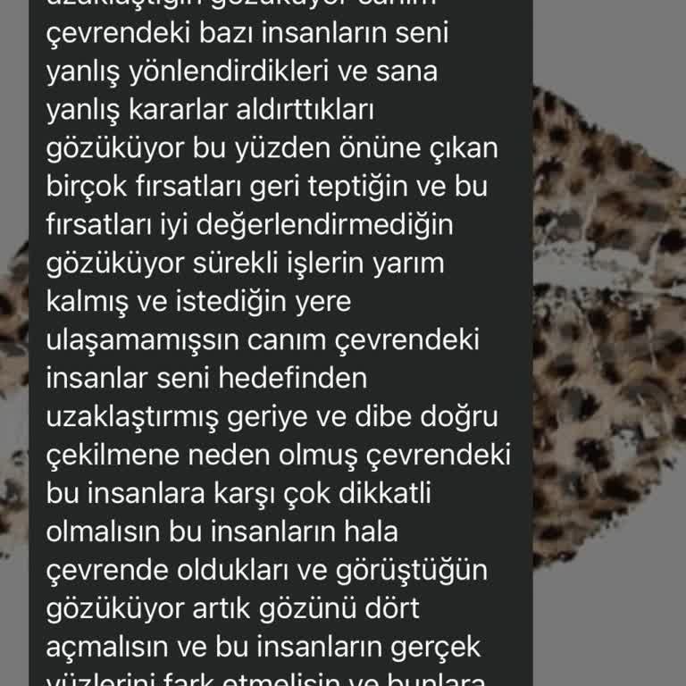 Tekdüze Fal Hizmeti Ve Olumsuz Tepkiler