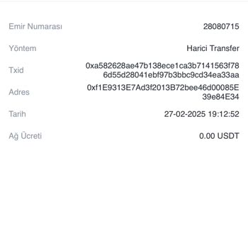 USDT Transferinde Belirsizlik Ve Güven Sorunu