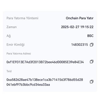 USDT Transferinde Belirsizlik Ve Güven Sorunu