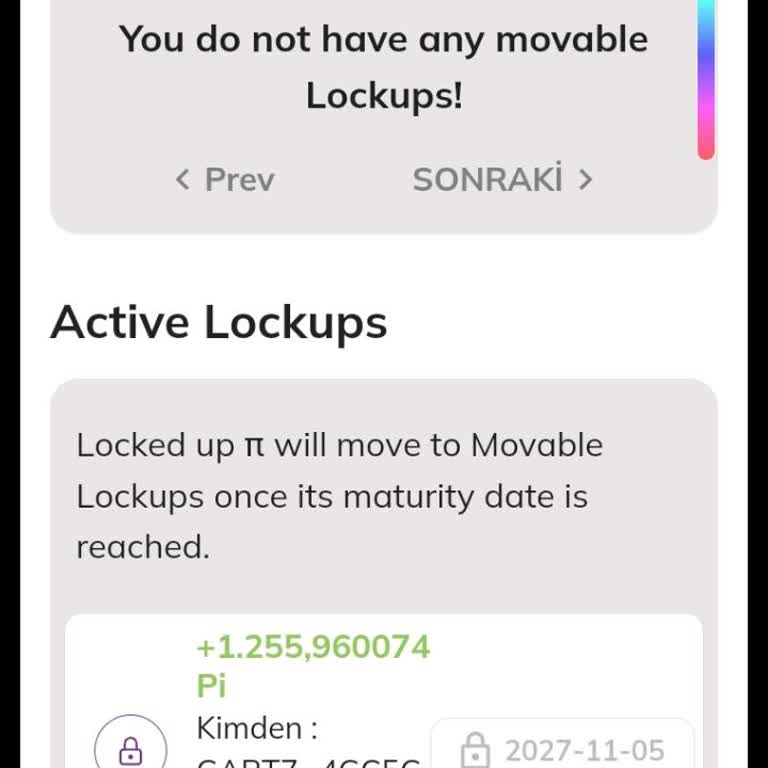 Pi Cüzdanımda Yetkisiz Transfer Sorunu