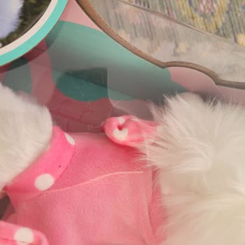 Hatalı Ürün Ve İade Sorunu: Oyuncak Köpek Şikayeti