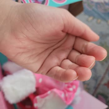 Hatalı Ürün Ve İade Sorunu: Oyuncak Köpek Şikayeti